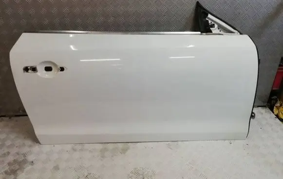 Renault Laguna III Front door