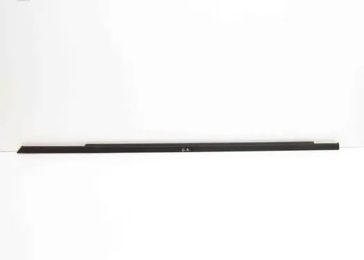 Hyundai Ioniq 5 Rear door glass trim molding