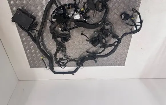 Infiniti Q50 Wiring harness 