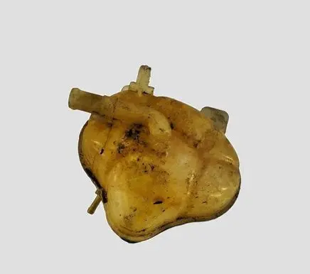 Fiat Punto (199) Coolant expansion tank/reservoir