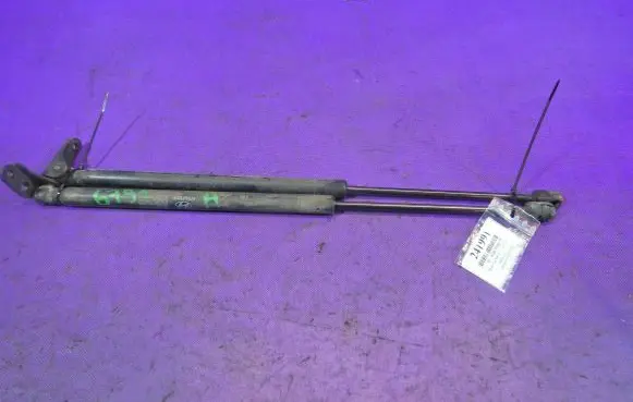 Tailgate strut