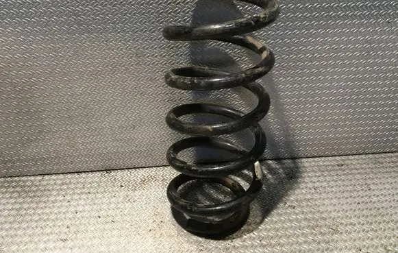 Renault Trafic II (X83) Front coil spring