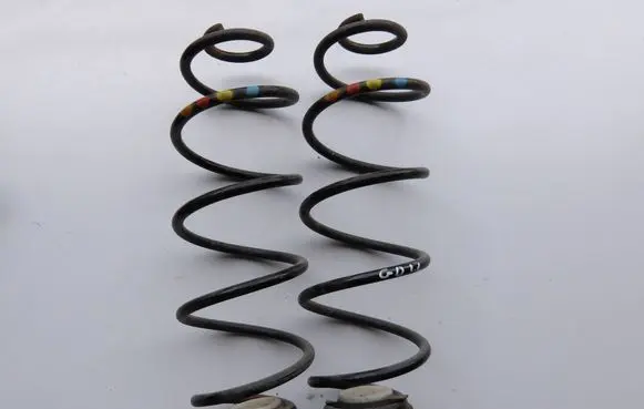 Rear coil spring