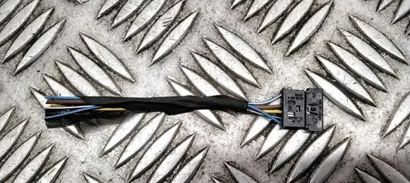 BMW 5 G30 G31 Other wiring loom 6909052 1355899
