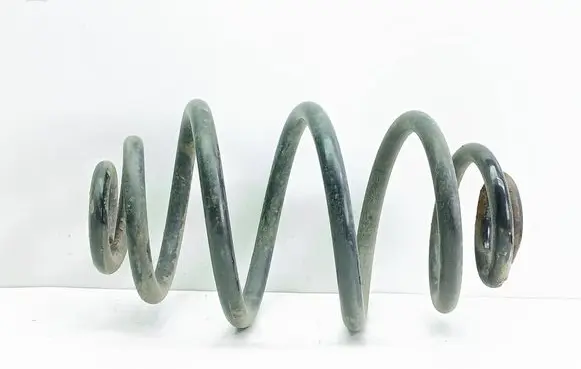 Volkswagen PASSAT B5.5 Rear coil spring