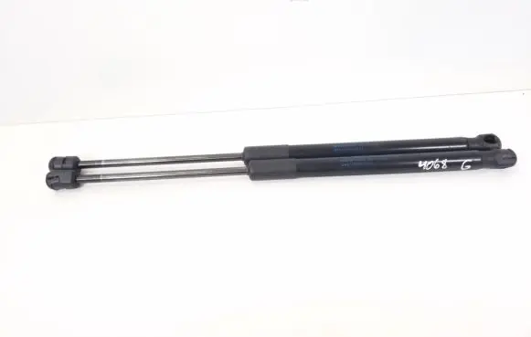 Tailgate strut