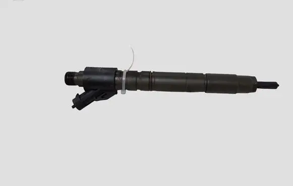 Jaguar XF X250 Fuel injector 0455116013