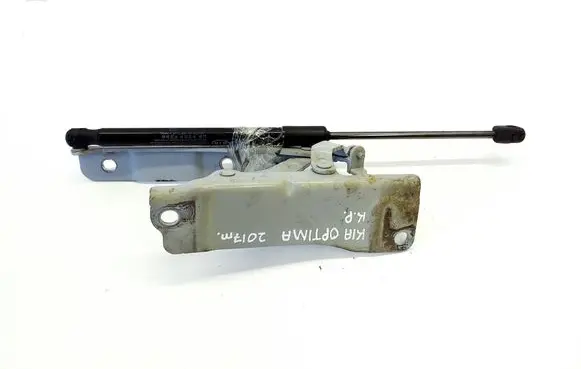 Engine bonnet/hood hinges