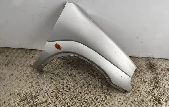 Suzuki Ignis Fender