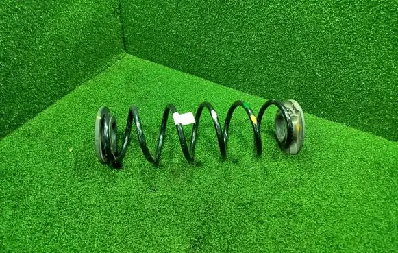 Rear coil spring
