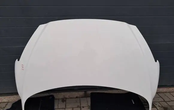 Engine bonnet/hood