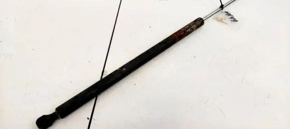 Peugeot 807 Tailgate/trunk strut/damper 1492653080