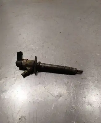 Volvo V70 Fuel injector 0445110251