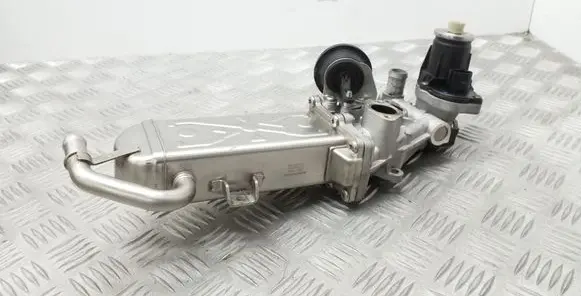 Volkswagen Golf VI EGR valve cooler