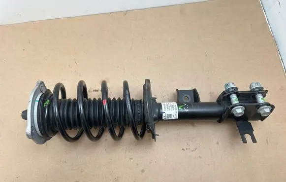 Leapmotor B10 Front shock absorber with coil spring 3901300AG04