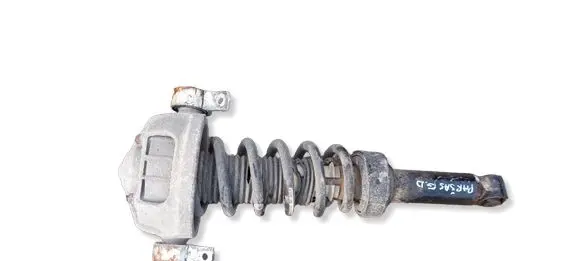 Porsche Cayenne (9PA) Rear shock absorber/damper 7L5512021