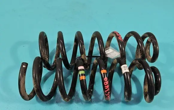 Rear coil spring