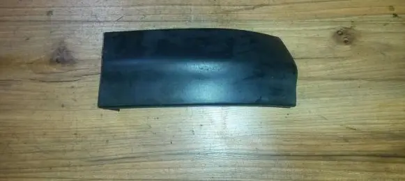 Rear/tail light trim molding