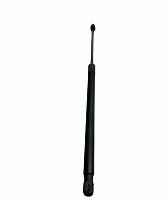 Tailgate/trunk strut/damper