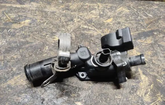 Thermostat/thermostat housing