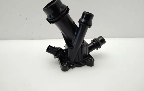 Thermostat/thermostat housing
