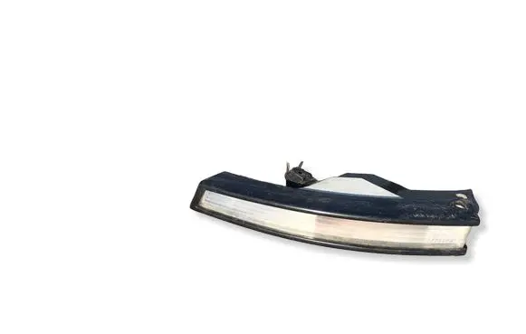 Volkswagen PASSAT B6 Front indicator light 3C0953041E