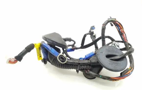 Hyundai Santa Fe Rear door wiring loom 916602B010