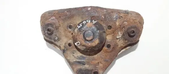 Coil spring mount