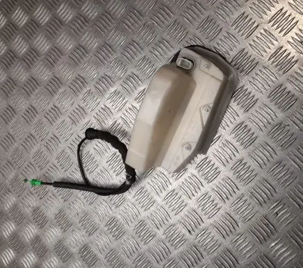 Tesla Model 3 Front door lock 106896400M