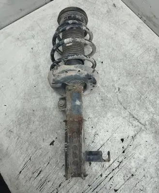 Opel Insignia A Front shock absorber with coil spring 13347485 E4622501 357327926
