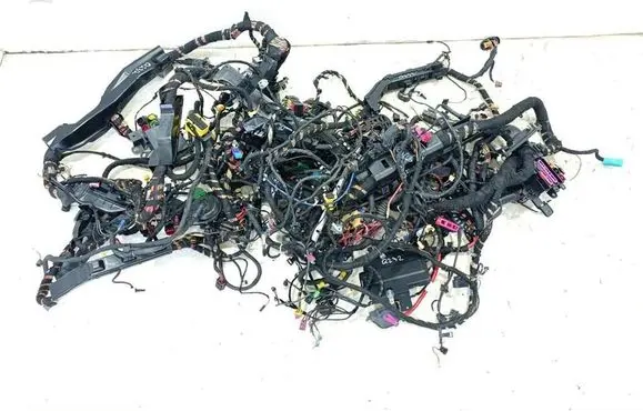 Other wiring loom