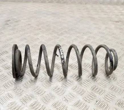 Hyundai Kona I Rear coil spring
