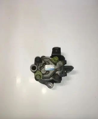 Nissan Terrano Power steering pump 1Y292007 2X800