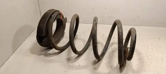 Rear coil spring