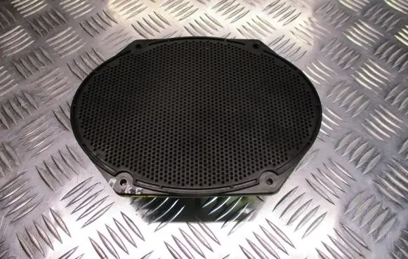 Ford Fiesta Front door speaker