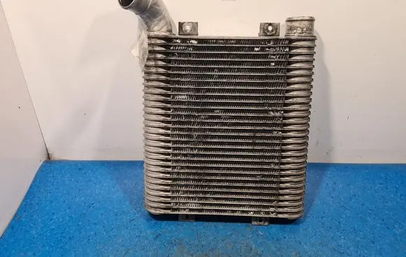 Hyundai Santa Fe Electric car engine cooler 