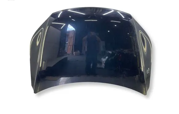 Volkswagen Tiguan Engine bonnet/hood