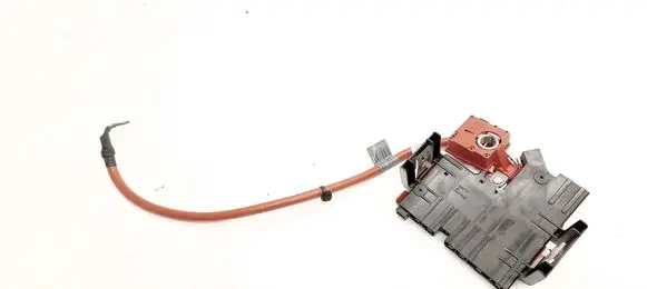 BMW X3 F25 Positive wiring loom 9225099