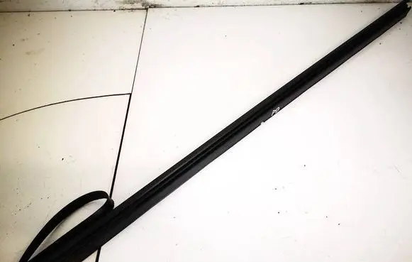 Peugeot 4007 Front door glass trim molding 20104210415