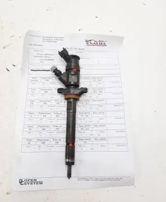Peugeot Partner Fuel injector 0445110311