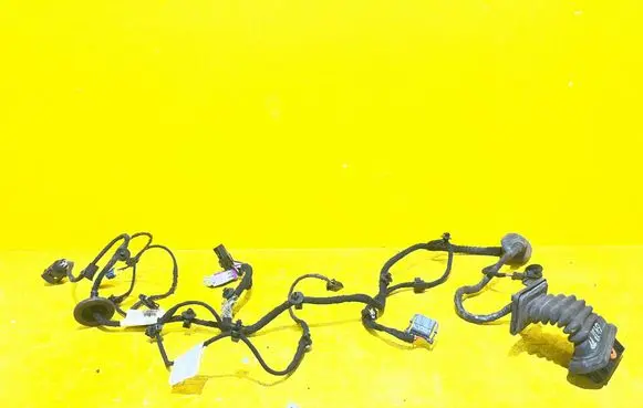 Volkswagen PASSAT B6 Front door wiring loom 3C1971121R