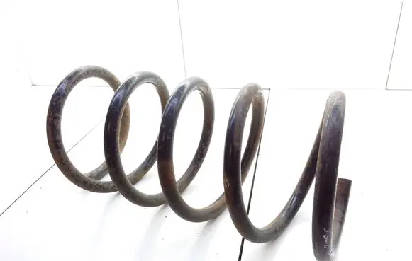 Rear coil spring