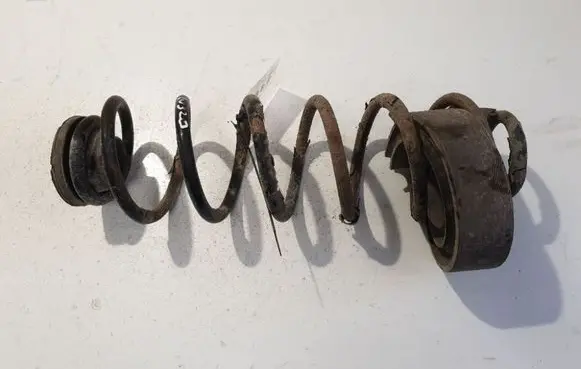 Rear coil spring