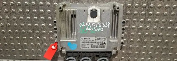 Engine control unit/module