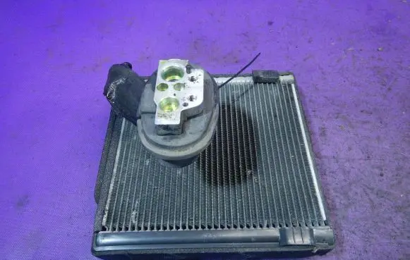 Volkswagen Golf V Air conditioning (A/C) radiator (interior) 3C1820103B