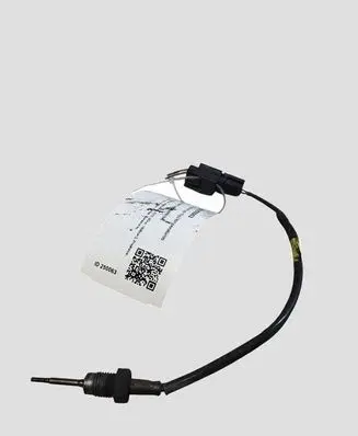 Renault Trafic III (X82) Exhaust gas temperature sensor