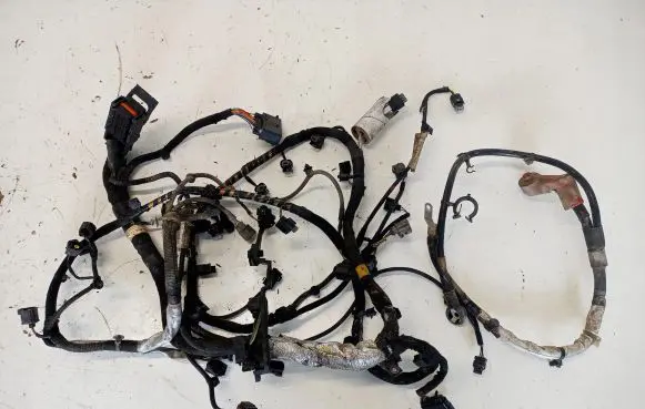 Engine installation wiring loom