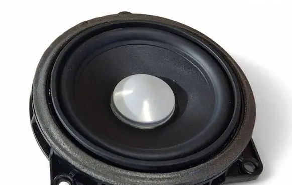 BMW i8 Front door speaker 9289965 65139289965