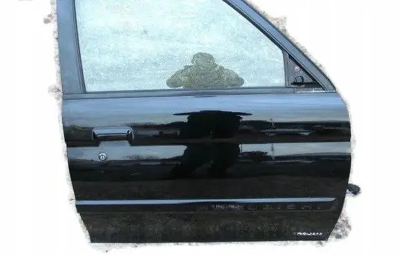 Mitsubishi Pajero Sport I Front door