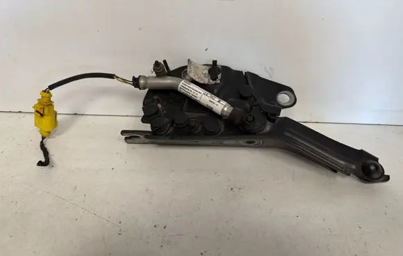 Volkswagen Tiguan Engine bonnet/hood hinges 5NA823301G
